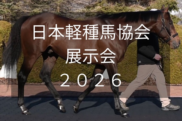 サラブレッドマーケット