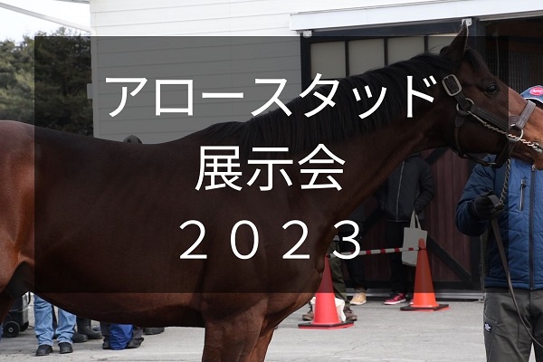 サラブレッドマーケット