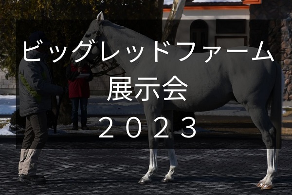サラブレッドマーケット