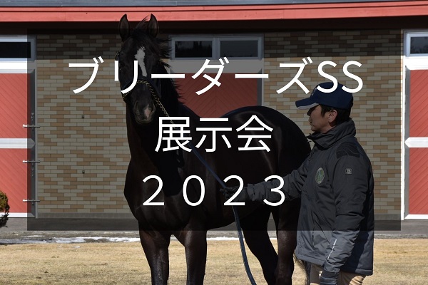 サラブレッドマーケット