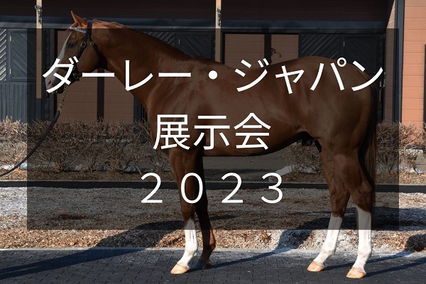 サラブレッドマーケット