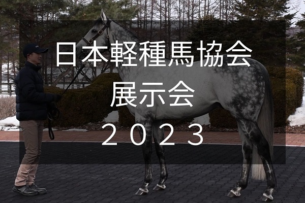 サラブレッドマーケット