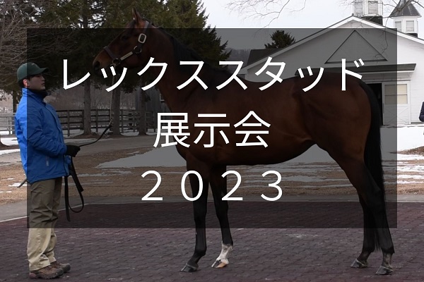 サラブレッドマーケット