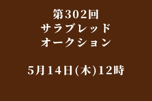 サラブレッドマーケット