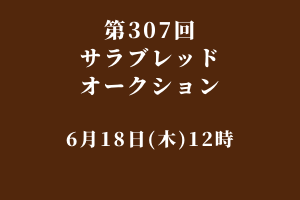 サラブレッドマーケット