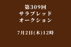 サラブレッドマーケット