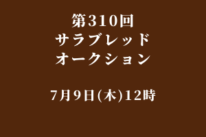 サラブレッドマーケット