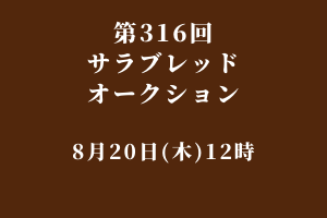 サラブレッドマーケット