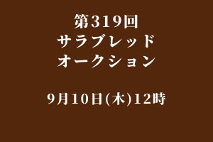 サラブレッドマーケット
