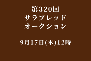 サラブレッドマーケット