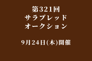 サラブレッドマーケット