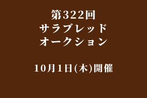 サラブレッドマーケット
