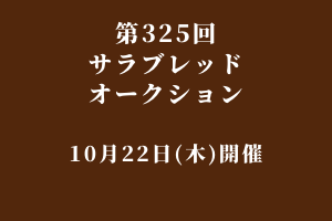 サラブレッドマーケット