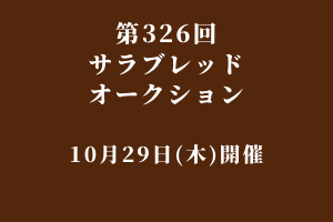 サラブレッドマーケット