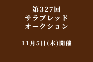 サラブレッドマーケット