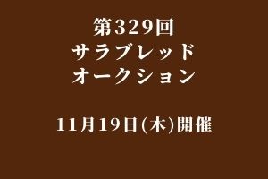 サラブレッドマーケット