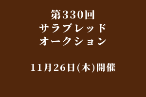 サラブレッドマーケット