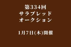サラブレッドマーケット