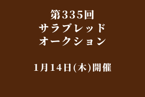 サラブレッドマーケット