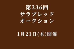 サラブレッドマーケット