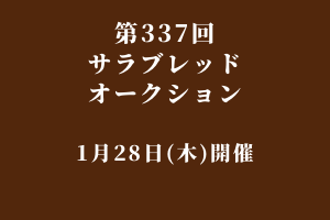 サラブレッドマーケット