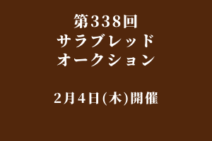 サラブレッドマーケット