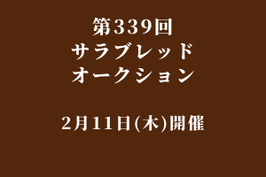 サラブレッドマーケット