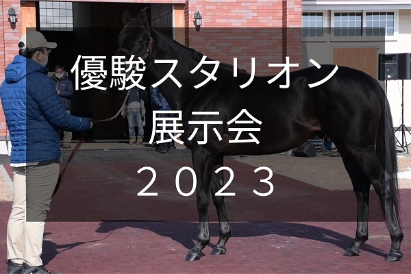 サラブレッドマーケット