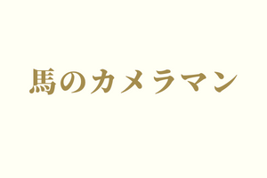 サラブレッドマーケット